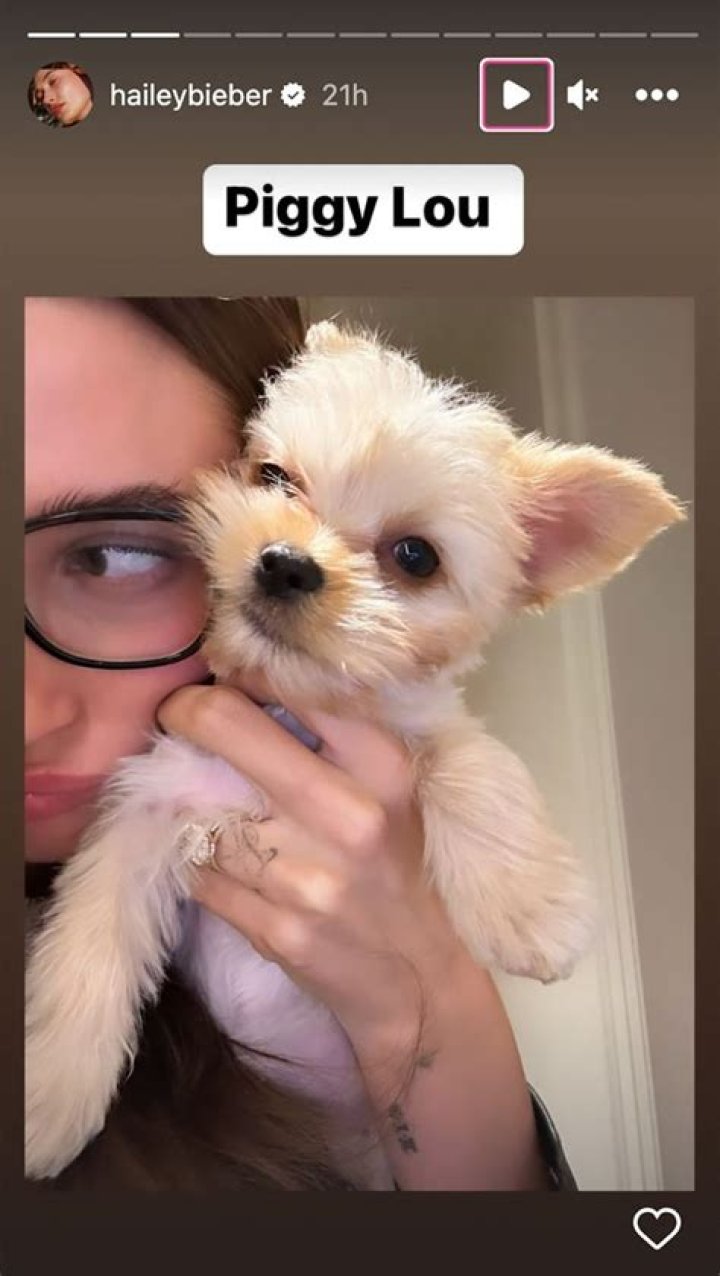 
Justin Bieber and Wife Hailey Welcome a New Puppy into the Family Named Piggy Lou: ‘Baby Sister’ 